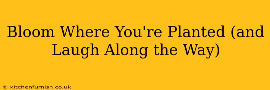 Bloom Where You're Planted (and Laugh Along the Way)
