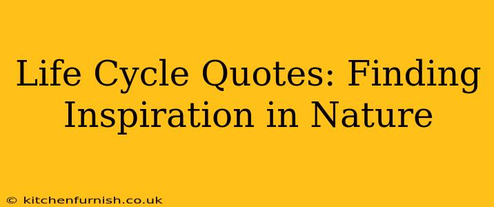 Life Cycle Quotes: Finding Inspiration in Nature
