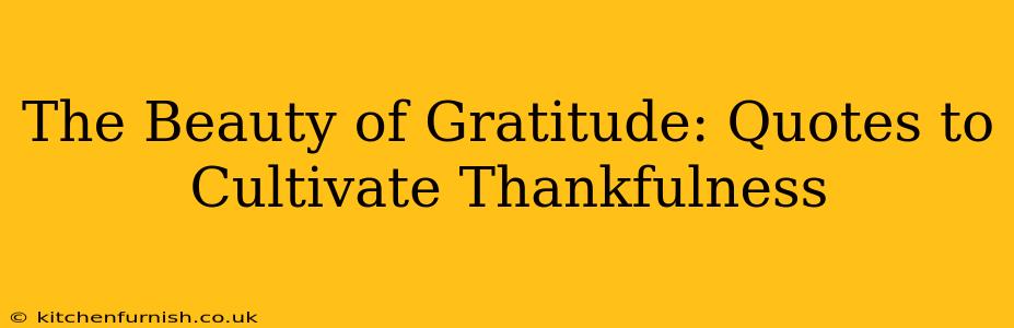 The Beauty of Gratitude: Quotes to Cultivate Thankfulness