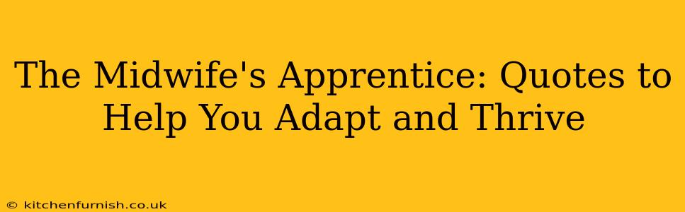 The Midwife's Apprentice: Quotes to Help You Adapt and Thrive