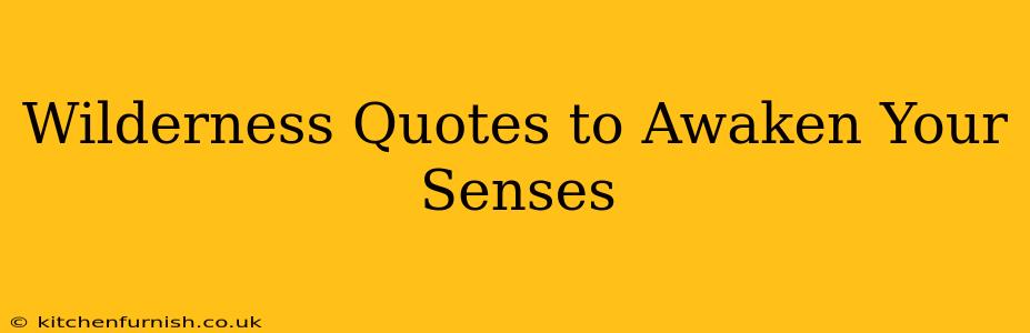 Wilderness Quotes to Awaken Your Senses